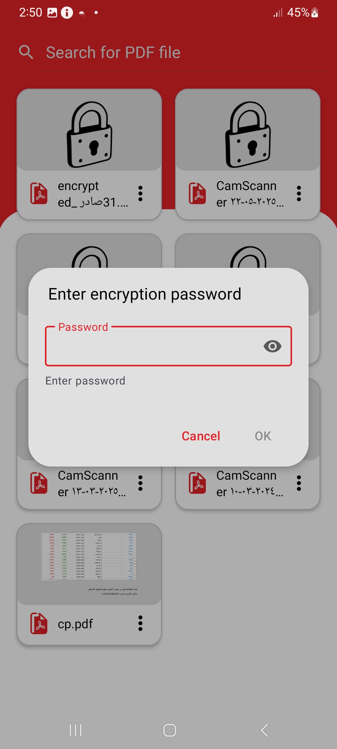 Decryption Interface